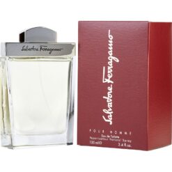 SALVATORE FERRAGAMO POUR HOMME 100 ML EDT