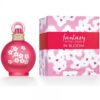 BRITNEY SPEARS FANTASY IN BLOOM 100 ML EDT
