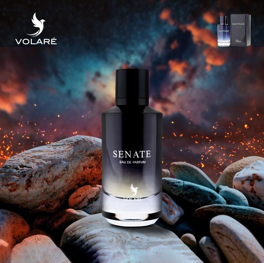 VOLARE SENATE 100 ML EDP