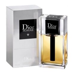 CHRISTIAN DIOR HOMME 100 ML EDT