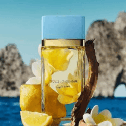 DOLCE GABBANA LIGHT BLUE MUJER 100 ML (NUEVO EAU DE PARFUM)