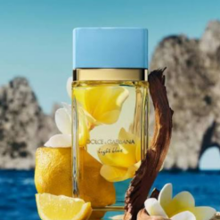 DOLCE GABBANA LIGHT BLUE MUJER 100 ML (NUEVO EAU DE PARFUM)